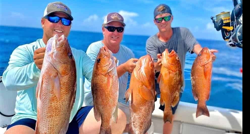 Private-Offshore-Fishing-with-Fish-Now-Charters