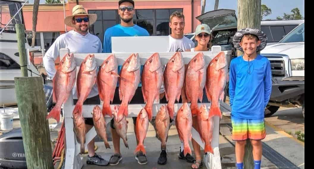 Private-Offshore-Fishing-with-Fish-Now-Charters