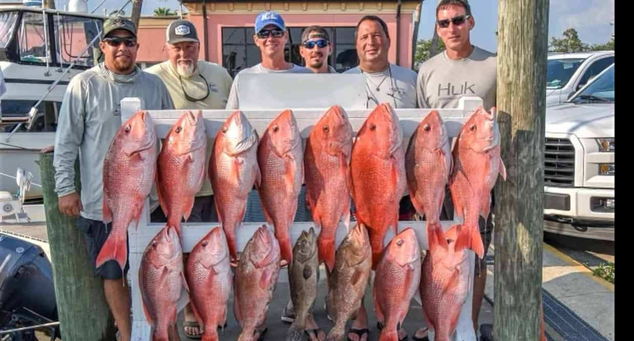 Private-Offshore-Fishing-with-Fish-Now-Charters