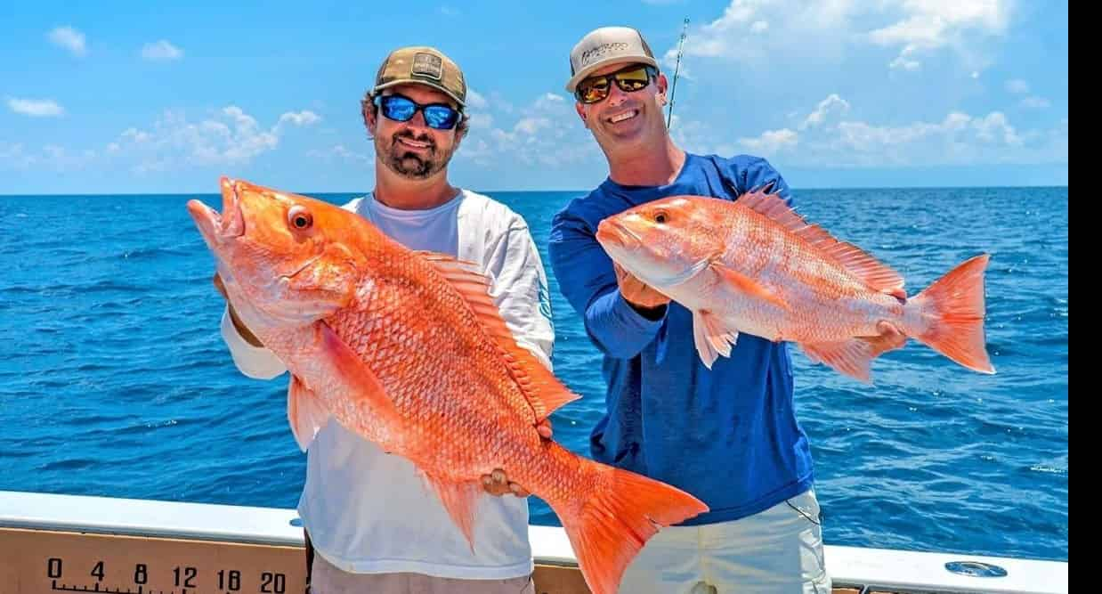 Private-Offshore-Fishing-with-Fish-Now-Charters