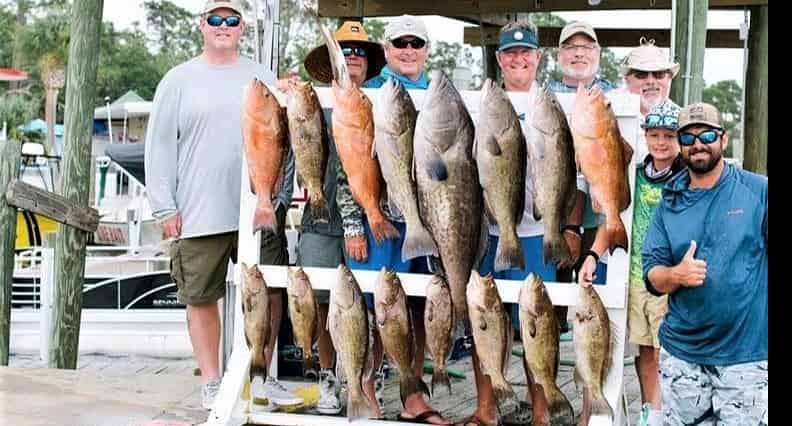 Private-Offshore-Fishing-with-Fish-Now-Charters