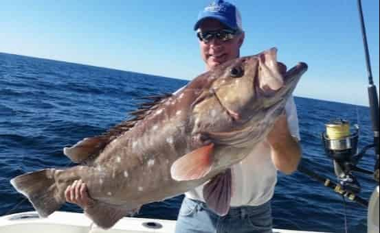 Orange-Beach-Deep-Sea-Fishing-Aboard-the-Outcast