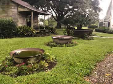 St. Joseph Plantation Tour with Transportation from New Orleans Hotels & B&Bs