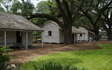 Oak Alley Plantation Admission & Guided Tour with Transportation from New Orleans