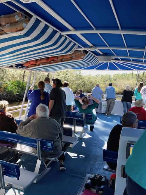 Dolphin-and-Nature-Sunset-Cruise-On-the-Explorer-Orange-Beach