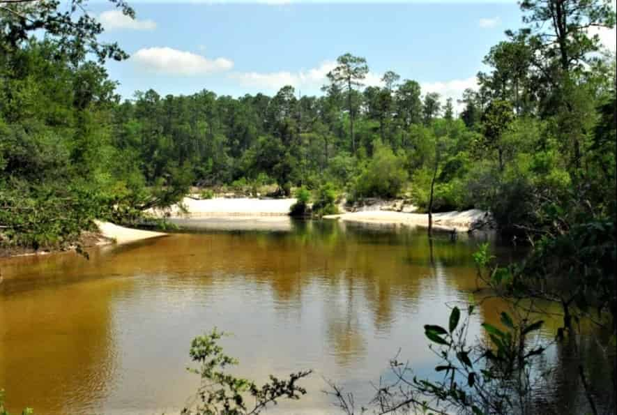 Blackwater-River-Tubing-Trip