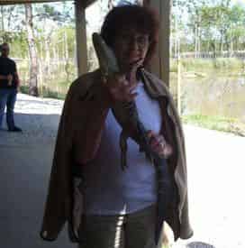 Airboat Swamp Ride & Alligator Farm Experience
