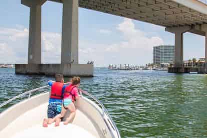 2 Hour Private Dolphin Tour with Optional Photography Session