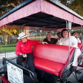 Carriage Rides of the French Quarter & Creole Neighborhoods