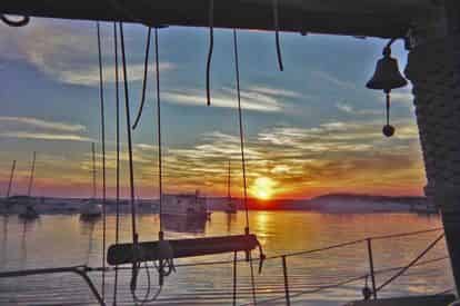 Sunset Dolphin & Snorkel Cruise with Cattywampus Aquatic Adventures
