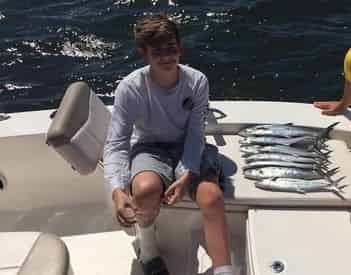 Dolphin Tour & Fishing Combo with Coastal Life Charters & Adventures