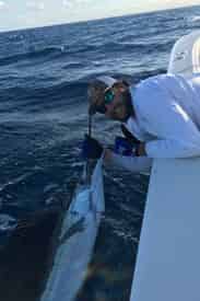 Sandestin Bay, Gulf, or Offshore Fishing Charter
