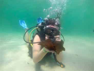 Beginner Scuba Diving Tour