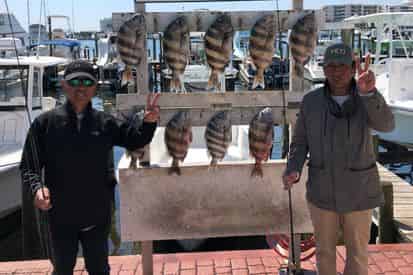 Destin 6-Pack Private Fishing Charter Aboard Malia Ann