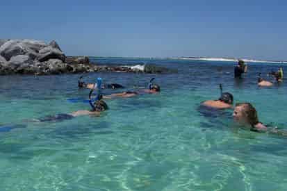 Large Group Crab Island Snorkel Charter
