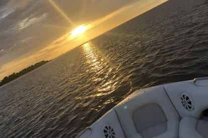 Screaming Eagle Dolphin Sunset Cruise