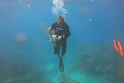 Dive Charter with Shark Quest Dive Shop