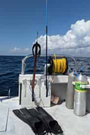 Dive Charter with Shark Quest Dive Shop