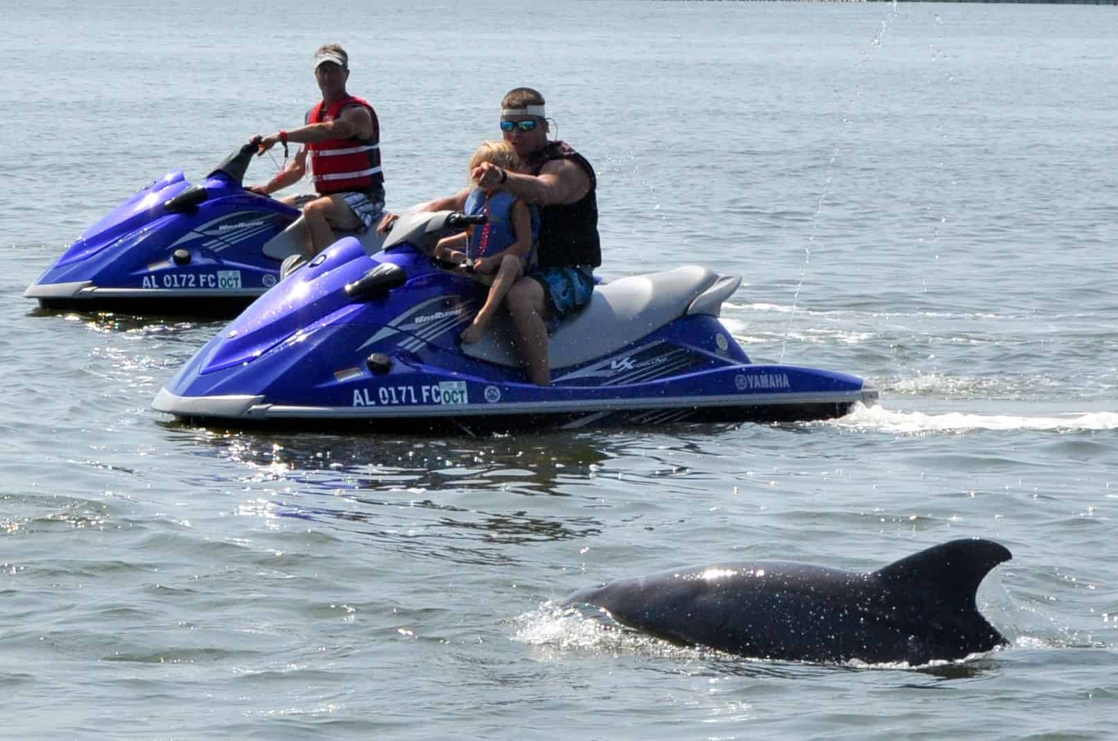 Private-Waverunner-Dolphin-Tours-with-Emerald-Water-Adventures