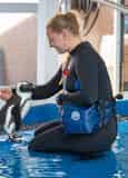 Gulf World Marine Park Tickets