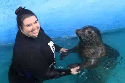 Harbor Seal Encounter at Gulf World Marine Park
