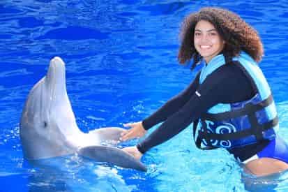 Royal Swim with Dolphins at Gulf World Marine Park