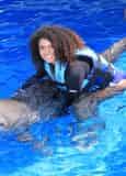 Royal Swim with Dolphins at Gulf World Marine Park
