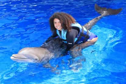 Royal Swim with Dolphins at Gulf World Marine Park