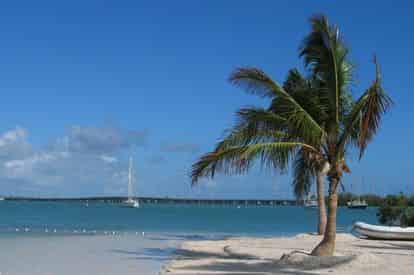 Key West Day Trip with Glass Bottom Boat Ride
