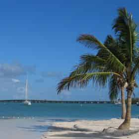 Key West Day Trip With Glass Bottom Boat Ride Tripshock