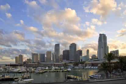 Miami City Tour and Everglades Airboat Excursion with Transportation