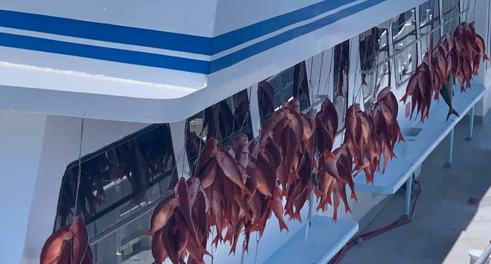 Deep-Sea-Party-Boat-Fishing-in-Panama-City-Beach-5-Hour-Trip
