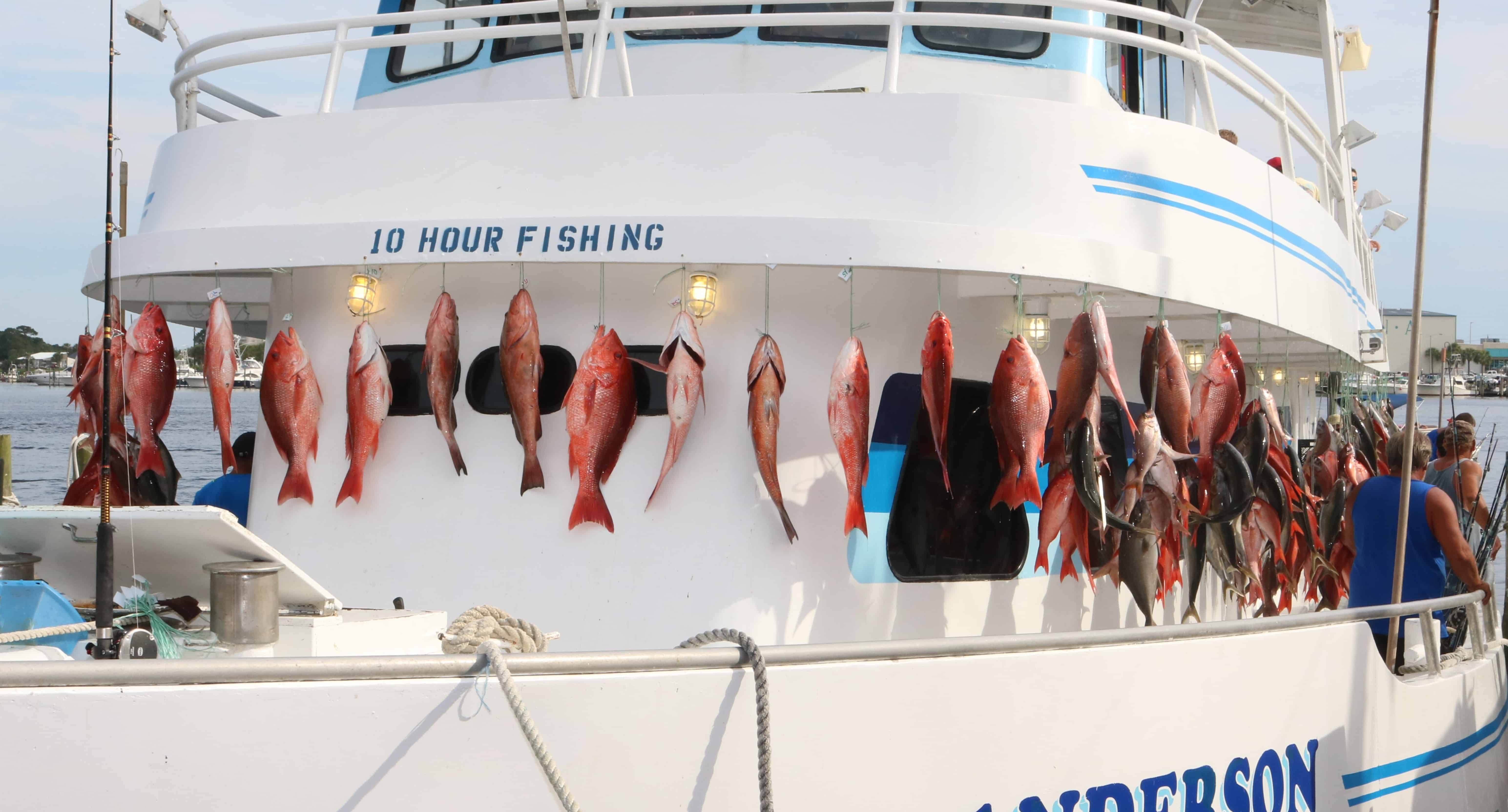 Deep-Sea-Party-Boat-Fishing-in-Panama-City-Beach-5-Hour-Trip