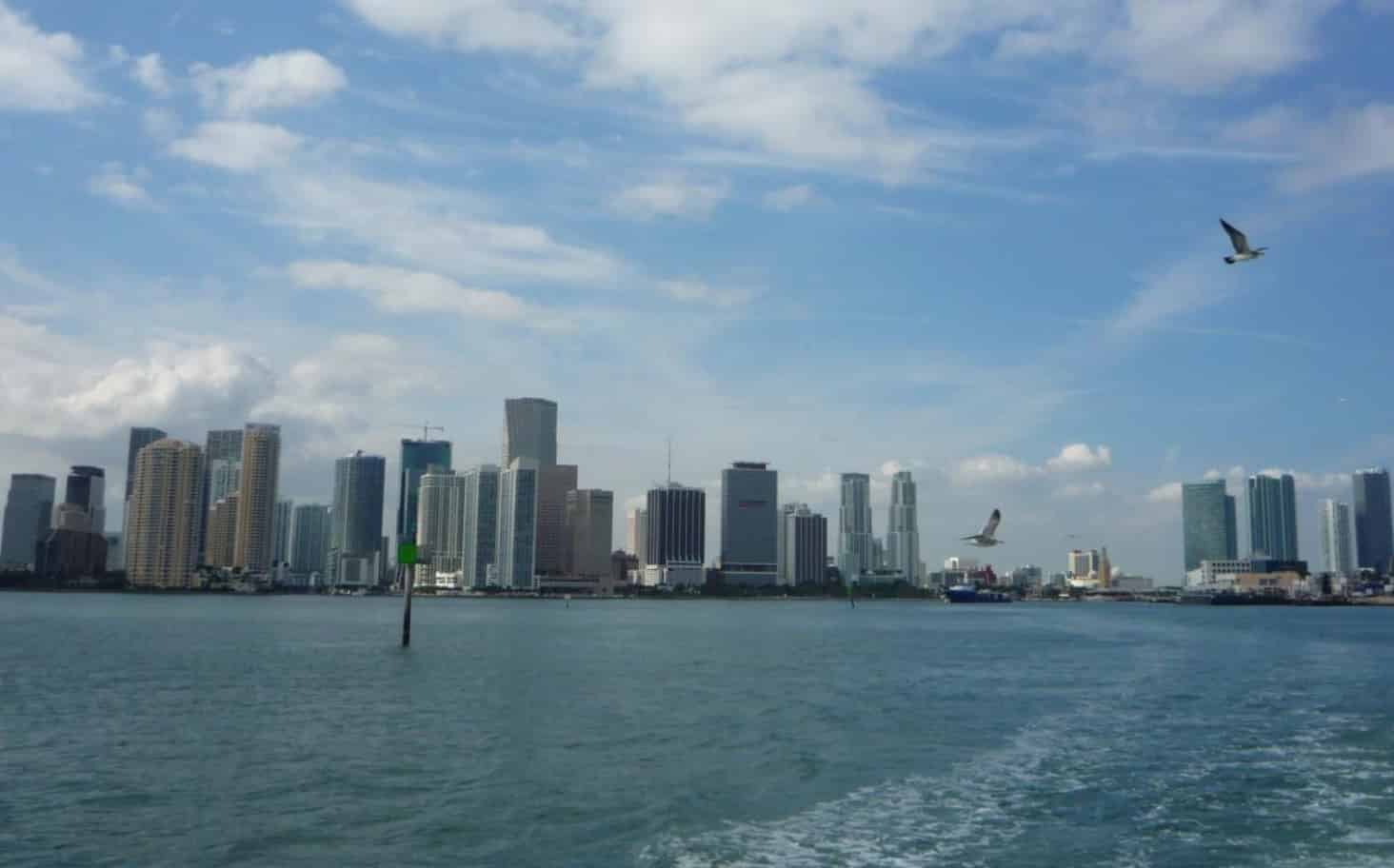 4-Hour-Sport-Fishing-Excursion-by-Gray-Line-Miami