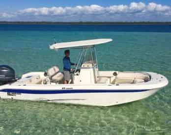 2 Hour Snorkel & Dolphin Experience with Wild Dolphin Tours