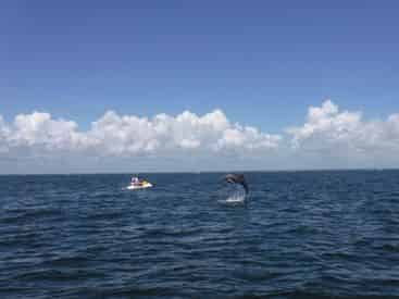 Hourly Jet Ski Rentals from Destiny Water Adventures