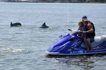 Completely Private Waverunner Dolphin Tours with Barefoot Jet Ski Tour Co.