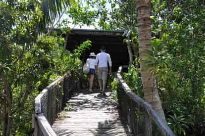 Everglades Safari Park Admission by Gray Line Miami