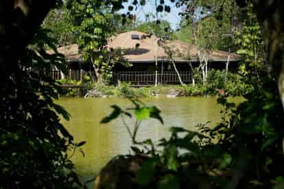 Everglades Safari Park Admission by Gray Line Miami