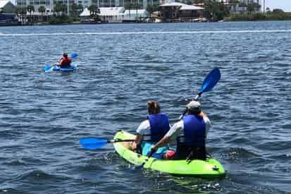 2 Hour Stand-up Paddle Board & Kayak Rentals with Waterlife Ventures Co.