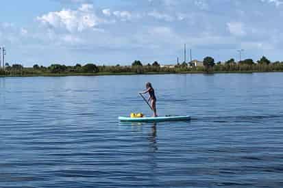 2 Hour Stand-up Paddle Board & Kayak Rentals with Waterlife Ventures Co.