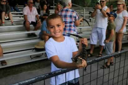 Airboat Ride & Animal Shows at the Everglades Alligator Farm