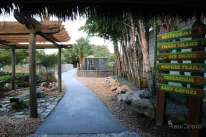 Airboat Ride & Animal Shows at the Everglades Alligator Farm