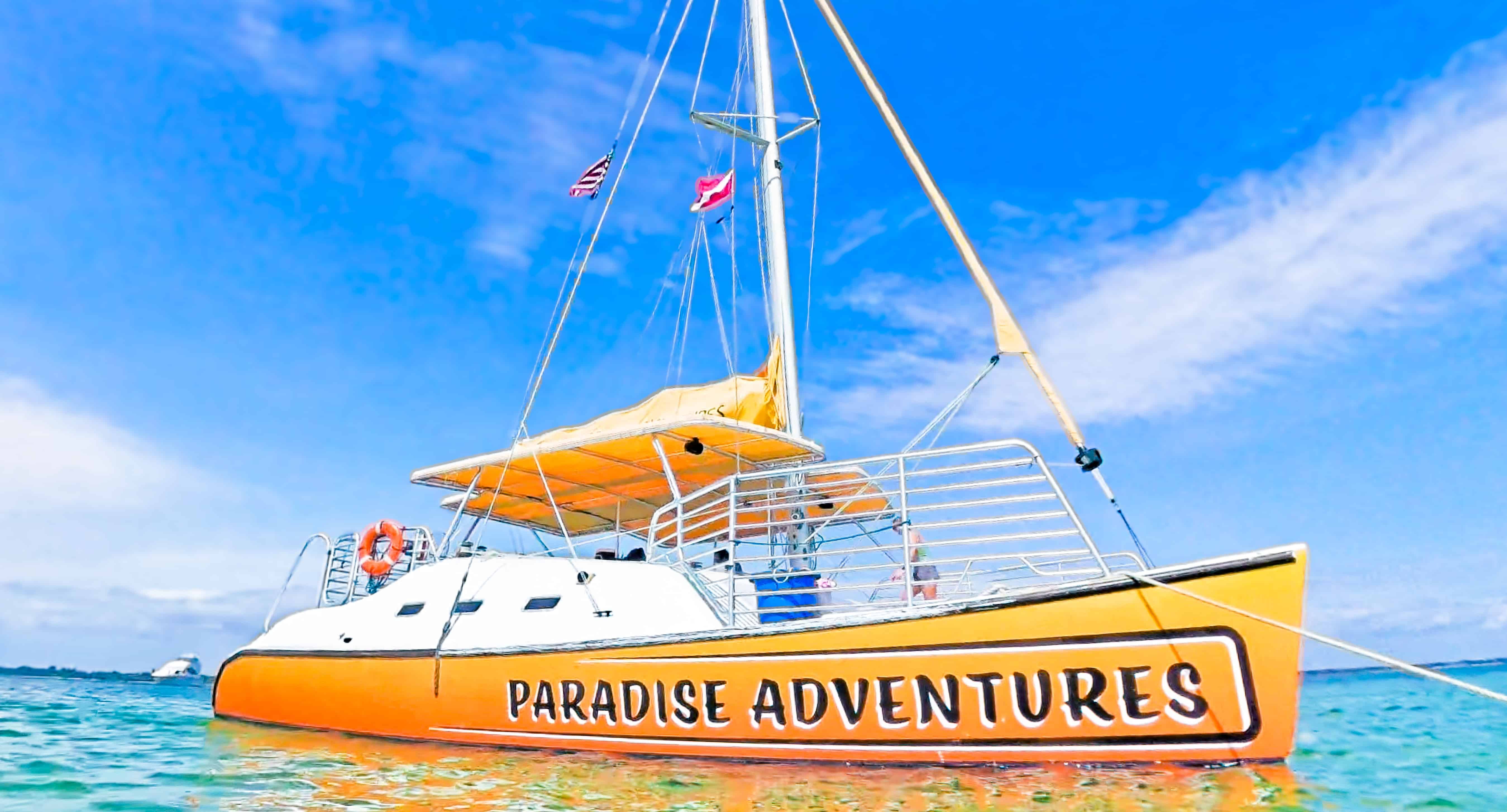 Daytime-Dolphin-Sail-Aboard-The-Footloose-Catamaran