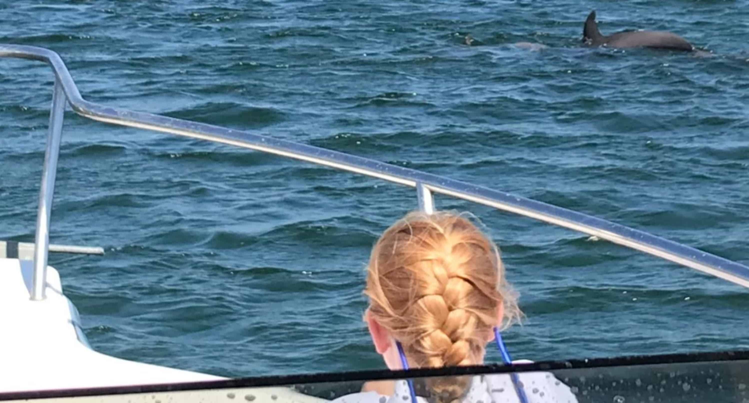Gulf-Island-Charters-Private-Dolphin-Sunset-Cruise
