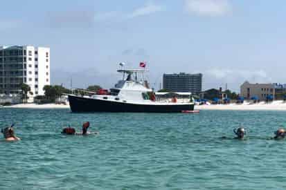 Large Group Crab Island Snorkel Charter