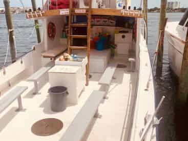 Large Group Crab Island Snorkel Charter