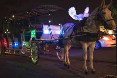 From Cocktails To Jazz With New Orleans Urban Adventures