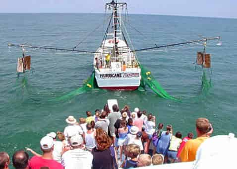 4.5 Hour Fishing Trip Aboard the Hurricane II