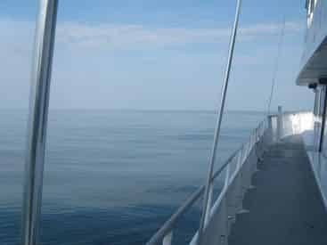 Dolphin Adventure Cruise Aboard The Hurricane II